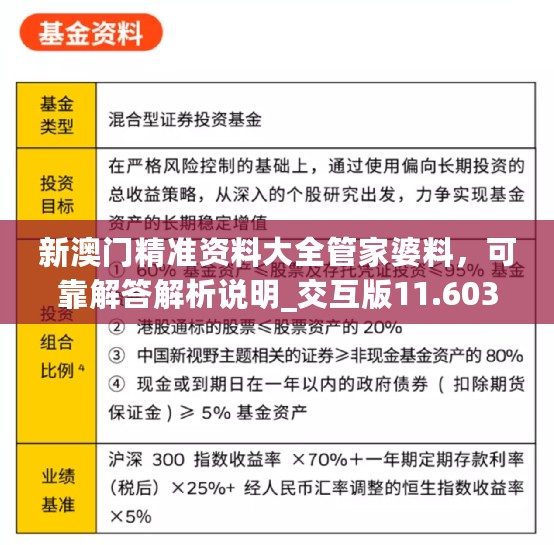 新澳门精准资料大全管家婆料，可靠解答解析说明_交互版11.603