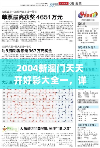 2004新澳门天天开好彩大全一，详细解读解释定义_BT15.460