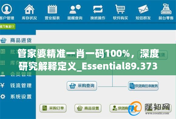 管家婆精准一肖一码100%，深度研究解释定义_Essential89.373