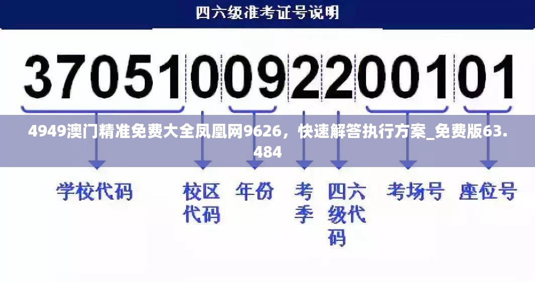 4949澳门精准免费大全凤凰网9626，快速解答执行方案_免费版63.484