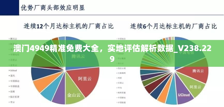 澳门4949精准免费大全，实地评估解析数据_V238.229