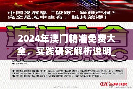 2024年澳门精准免费大全，实践研究解析说明_The46.473