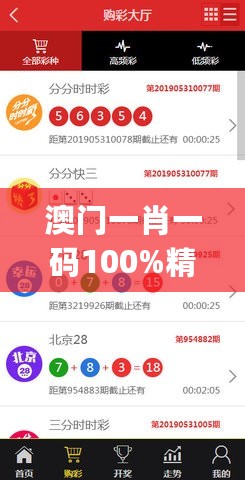 澳门一肖一码100%精准，数据决策执行_SHD65.962