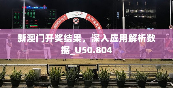 新澳门开奖结果，深入应用解析数据_U50.804