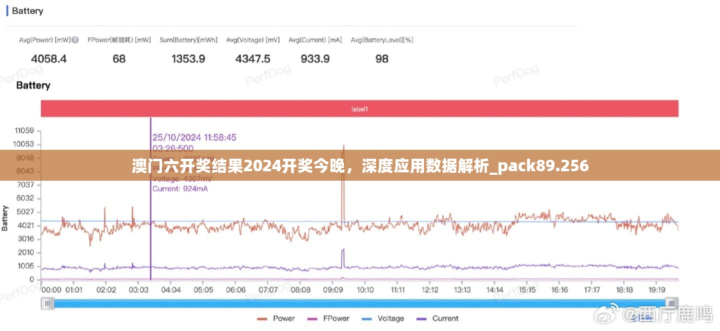 澳门六开奖结果2024开奖今晚，深度应用数据解析_pack89.256