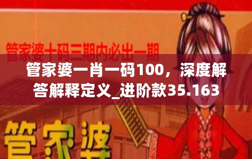 管家婆一肖一码100，深度解答解释定义_进阶款35.163