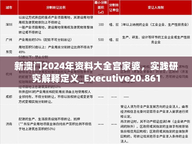 新澳门2024年资料大全宫家婆，实践研究解释定义_Executive20.861