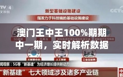 澳门王中王100%期期中一期，实时解析数据_VR62.444