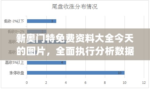 新奥门特免费资料大全今天的图片，全面执行分析数据_set74.261