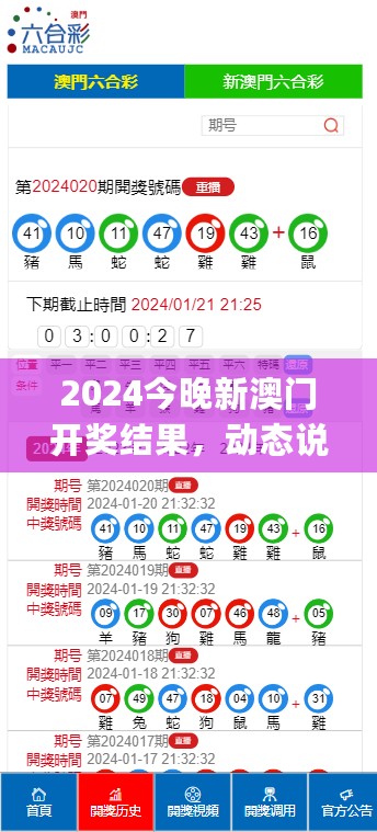 2024今晚新澳门开奖结果，动态说明解析_定制版13.776