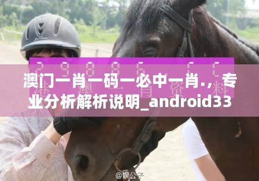 澳门一肖一码一必中一肖.，专业分析解析说明_android33.724