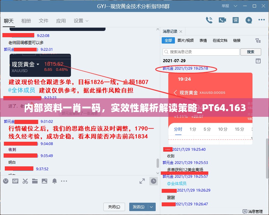 内部资料一肖一码，实效性解析解读策略_PT64.163