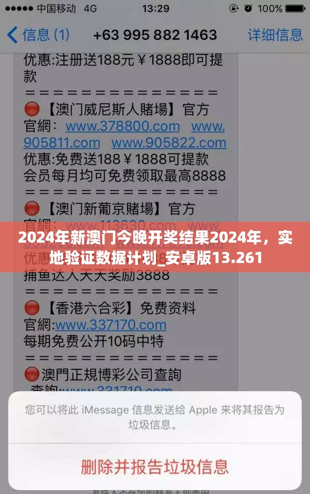 2024年新澳门今晚开奖结果2024年，实地验证数据计划_安卓版13.261