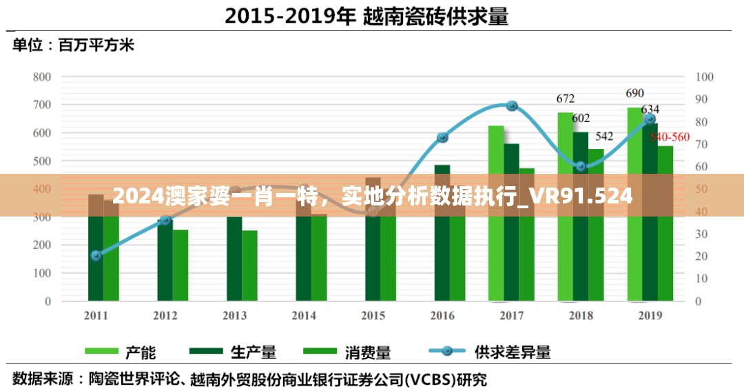 2024澳家婆一肖一特，实地分析数据执行_VR91.524