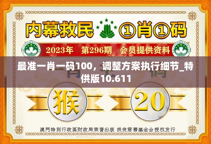 最准一肖一码100，调整方案执行细节_特供版10.611