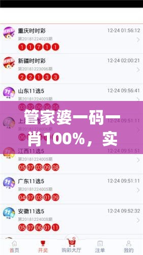 管家婆一码一肖100%，实地计划设计验证_M版93.115