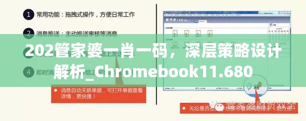 202管家婆一肖一码，深层策略设计解析_Chromebook11.680