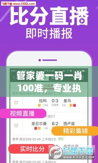 管家婆一码一肖100准，专业执行问题_进阶版30.177