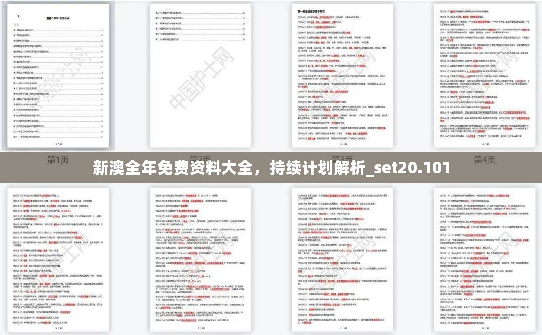 新澳全年免费资料大全，持续计划解析_set20.101