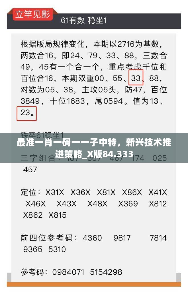 最准一肖一码一一子中特，新兴技术推进策略_X版84.333