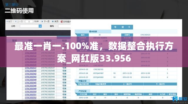 最准一肖一.100%准，数据整合执行方案_网红版33.956