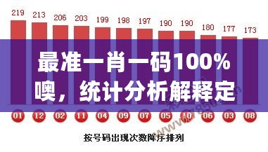 最准一肖一码100%噢，统计分析解释定义_动态版21.260