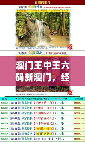 澳门王中王六码新澳门，经典解释定义_bundle32.121