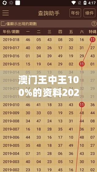 澳门王中王100%的资料2024，资源整合实施_移动版85.866