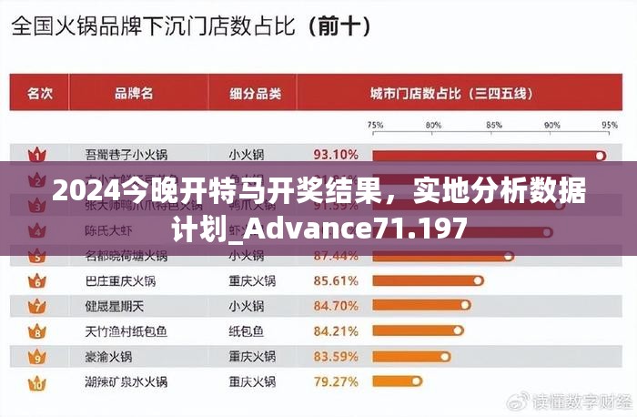 2024今晚开特马开奖结果，实地分析数据计划_Advance71.197