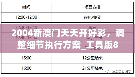 2004新澳门天天开好彩，调整细节执行方案_工具版88.941