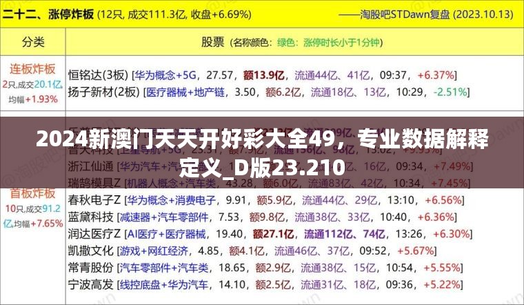 2024新澳门天天开好彩大全49，专业数据解释定义_D版23.210