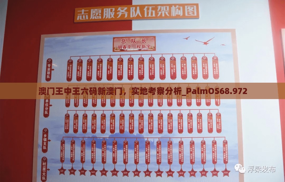 澳门王中王六码新澳门，实地考察分析_PalmOS68.972