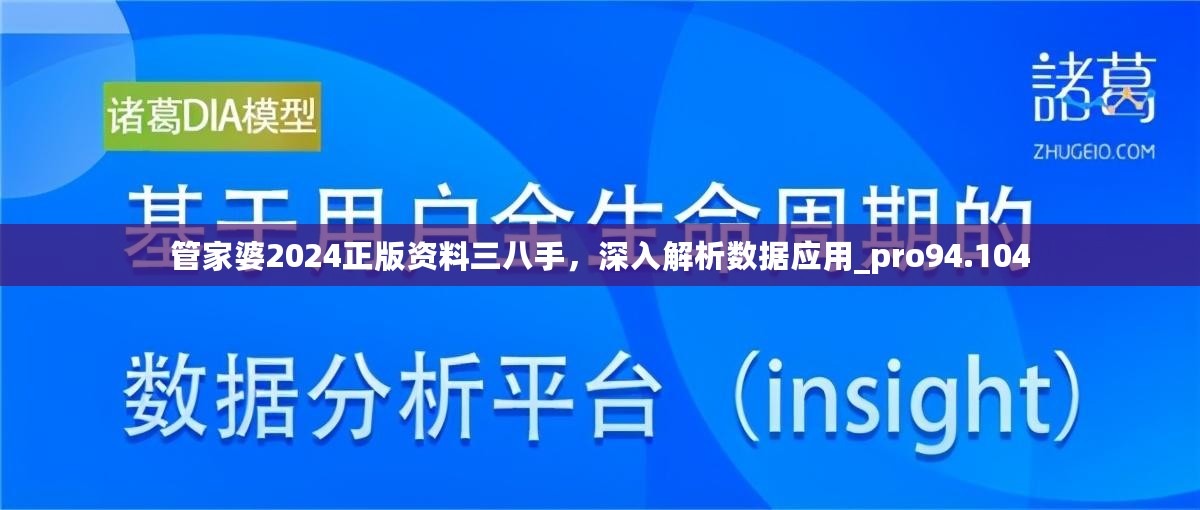 管家婆2024正版资料三八手，深入解析数据应用_pro94.104