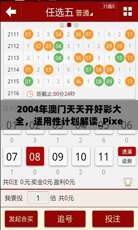 2004年澳门天天开好彩大全，适用性计划解读_Pixel87.624