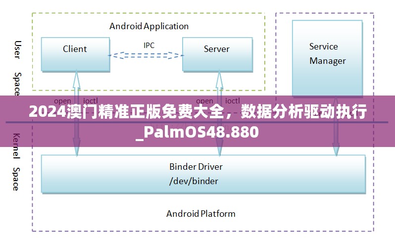 2024澳门精准正版免费大全，数据分析驱动执行_PalmOS48.880