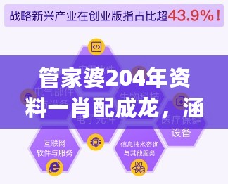 管家婆204年资料一肖配成龙，涵盖广泛的说明方法_Deluxe26.37