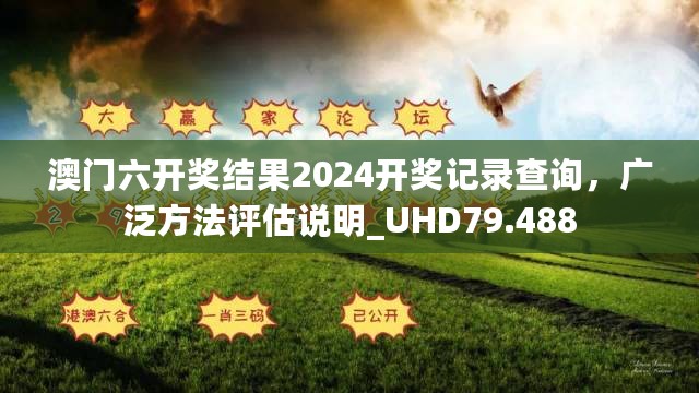 澳门六开奖结果2024开奖记录查询，广泛方法评估说明_UHD79.488