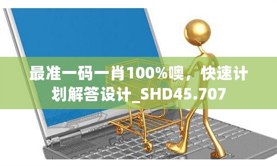 最准一码一肖100%噢，快速计划解答设计_SHD45.707