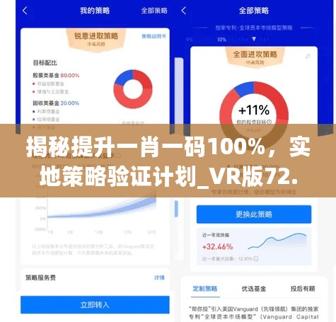 揭秘提升一肖一码100%，实地策略验证计划_VR版72.590