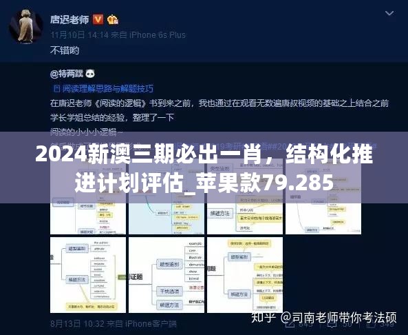 2024新澳三期必出一肖，结构化推进计划评估_苹果款79.285