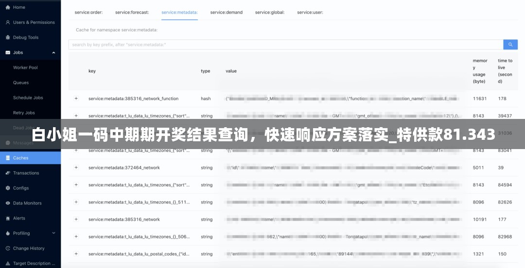 白小姐一码中期期开奖结果查询，快速响应方案落实_特供款81.343