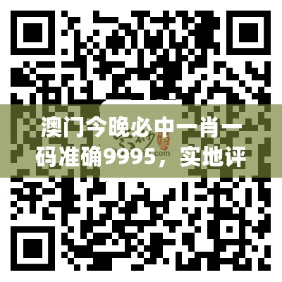 澳门今晚必中一肖一码准确9995，实地评估说明_R版16.601