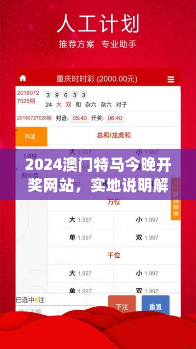 2024澳门特马今晚开奖网站，实地说明解析_定制版18.910