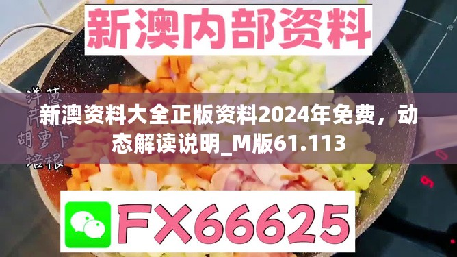 新澳资料大全正版资料2024年免费，动态解读说明_M版61.113