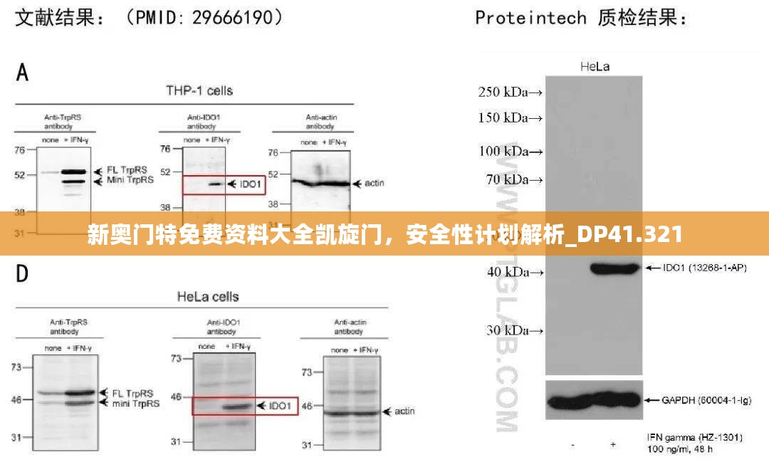 新奥门特免费资料大全凯旋门，安全性计划解析_DP41.321