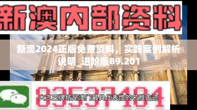 新澳2024正版免费资料，实践案例解析说明_进阶版89.201