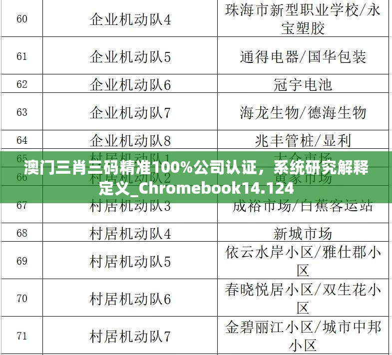 澳门三肖三码精准100%公司认证，系统研究解释定义_Chromebook14.124