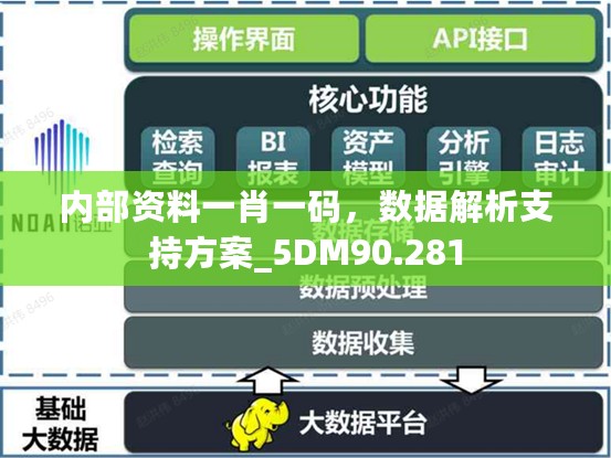 内部资料一肖一码，数据解析支持方案_5DM90.281