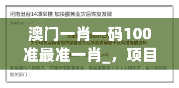 澳门一肖一码100准最准一肖_，项目管理推进方案_专属版98.405