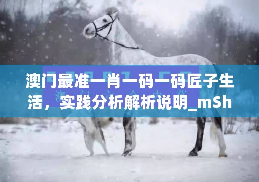 澳门最准一肖一码一码匠子生活，实践分析解析说明_mShop95.750